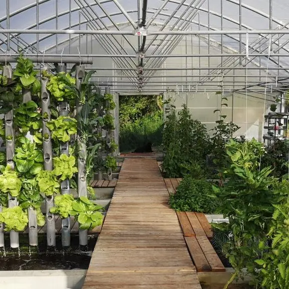 Workshop: Aquaponics System Planning & Construct - On site