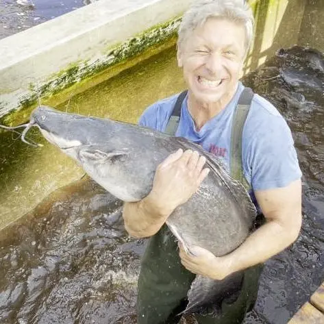 Webinar: Operation of a commercial Aquaponics System