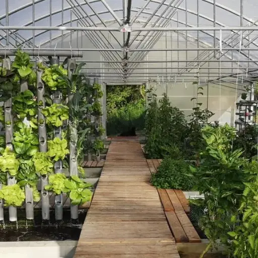 Webinar: Planning & construction of a commercial Aquaponics System
